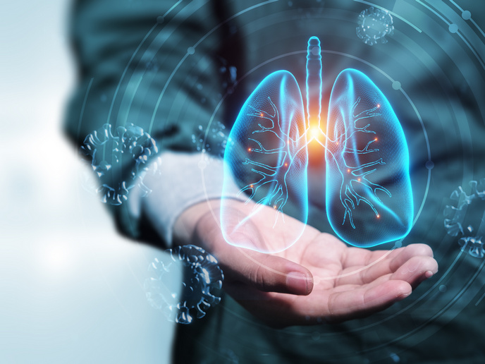 IA, Bioacústica y Diagnóstico Automatizado: El futuro de las enfermedades respiratorias ya está aquí